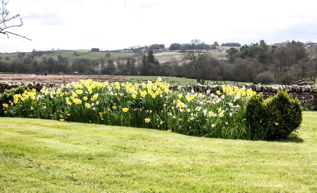Yellow House West Woodburn Екстер'єр фото